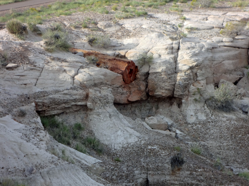 Petrified Logs at Blue Mesa in the Petrified Forest